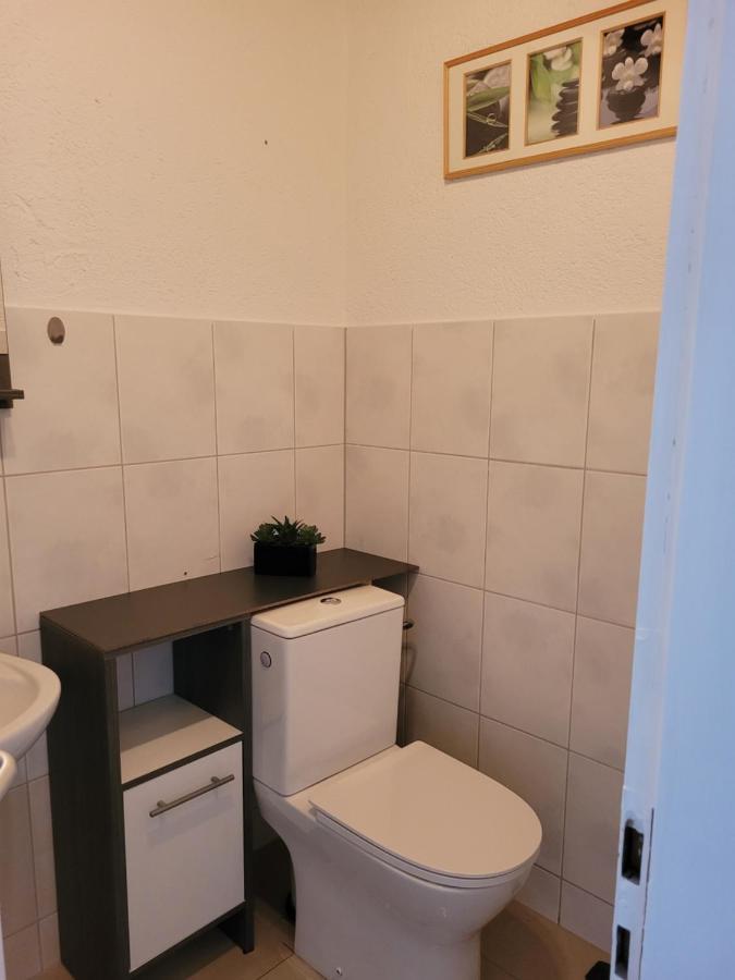 Business Apartment In Rheinfelden Rheinfelden  Zewnętrze zdjęcie